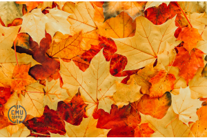 Fall Jobsite Prep: Protecting Concrete & Masonry Before Cold Weather Hits