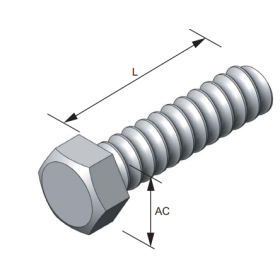 OCM Coil Bolts